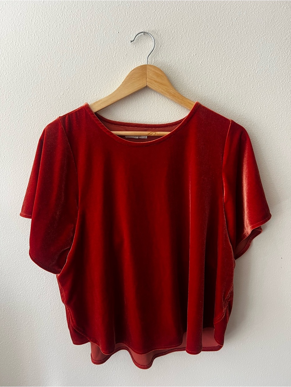 Madewell Terracotta Velvet Short Sleeve Women's Top